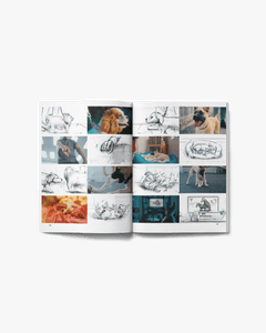 AKKURAT JOURNAL Vol. 8